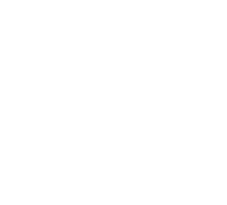 DVDPrint